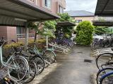 自転車置場